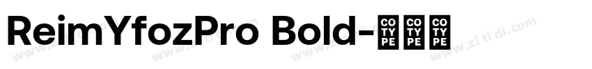 ReimYfozPro Bold字体转换